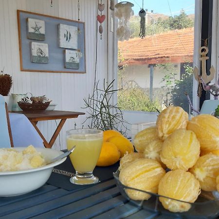 Cirali Friends Pension&Camping 外观 照片