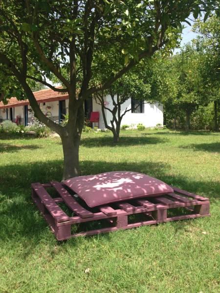Cirali Friends Pension&Camping 外观 照片