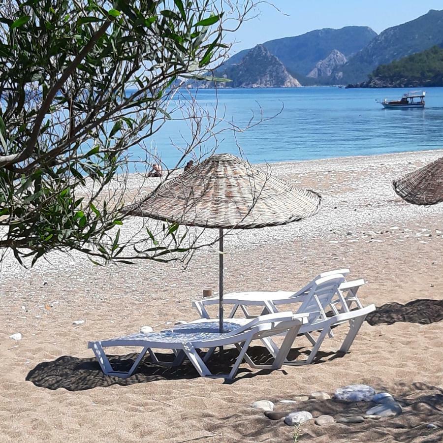 Cirali Friends Pension&Camping 外观 照片