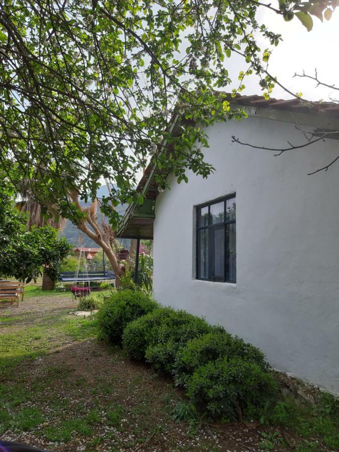 Cirali Friends Pension&Camping 外观 照片